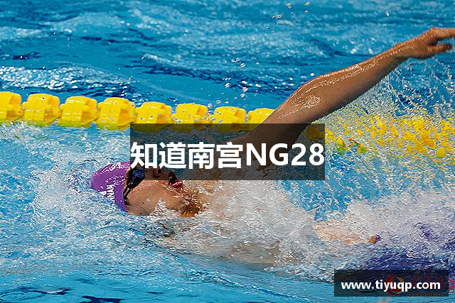 知道南宫NG28